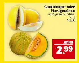 Marktkauf Cantaloupe- oder honigmelone Angebot