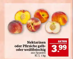 Marktkauf Nektarinen oder pfirsiche gelb- oder weißfleischig Angebot