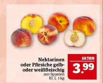 Marktkauf Nektarinen oder pfirsiche gelb- oder weißfleischig Angebot