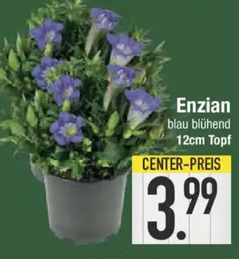 E-Center Enzian Angebot