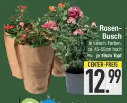 E-Center Rosen- Busch Angebot