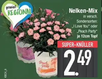 E-Center Nelken-Mix Angebot