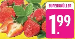 Edeka Erdbeeren Angebot