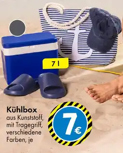 TEDi Kühlbox Angebot