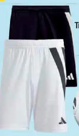 E-Center Herren Trainingsshorts Angebot