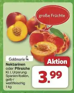 Famila Nord Ost Nektarinen oder Pfirsiche Angebot