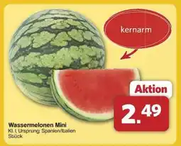 Famila Nord Ost Wassermelonen Mini Angebot