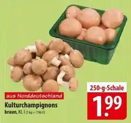 Famila Nord Ost Kulturchampignons braun Angebot