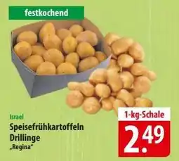 Famila Nord Ost Speisefrühkartoffeln Drillinge 'Regina' Angebot