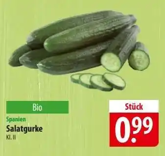 Famila Nord Ost Salatgurke Angebot