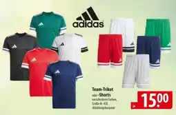 Famila Nord Ost Adidas Team-Trikot oder Shorts Angebot