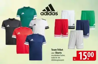 Famila Nord Ost Adidas Team-Trikot oder Shorts Angebot