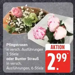 Edeka Pfingstrosen oder Bunter Strauß Angebot