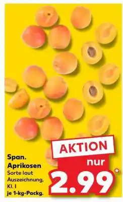 Kaufland Span. Aprikosen Angebot