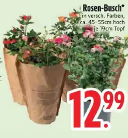 Edeka Rosen-Busch Angebot