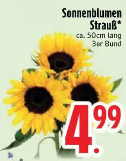 Edeka Sonnenblumen Strauß Angebot
