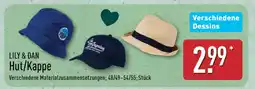 Aldi Nord LILY & DAN Hut/Kappe Angebot
