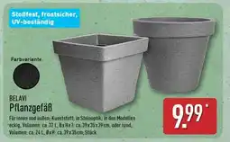 Aldi Nord BELAVI Pflanzgefäß Angebot