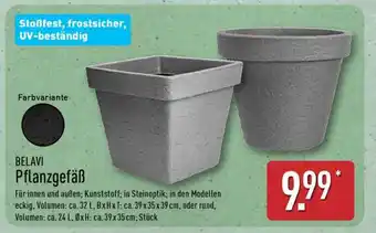 Aldi Nord BELAVI Pflanzgefäß Angebot