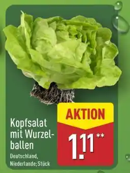 Aldi Nord Kopfsalat mit Wurzelballen Angebot
