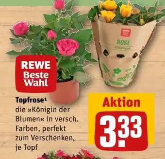 REWE Topfrose Angebot