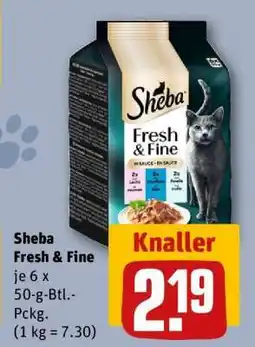 REWE Sheba Fresh & Fine Angebot