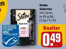 REWE SHEBA Selection Angebot