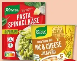 PENNY Knorr Spaghetteria Spinaci Pasta Angebot