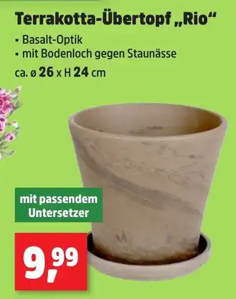 Thomas Philipps Terrakotta-Übertopf,,Rio" Angebot