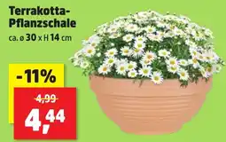 Thomas Philipps Terrakotta- Pflanzschale Angebot