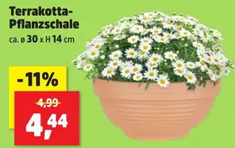 Thomas Philipps Terrakotta- Pflanzschale Angebot