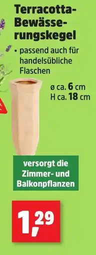 Thomas Philipps Terracotta- Bewässe- rungskegel Angebot