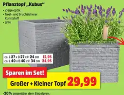 Thomas Philipps Pflanztopf,,Kubus Angebot