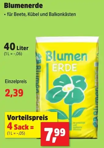 Thomas Philipps Blumenerde Angebot