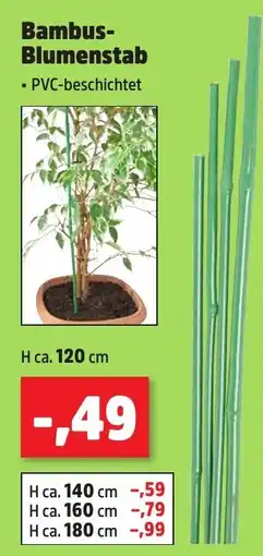 Thomas Philipps Bambus- Blumenstab Angebot