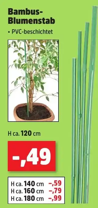 Thomas Philipps Bambus- Blumenstab Angebot