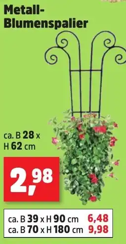 Thomas Philipps Metall- Blumenspalier Angebot