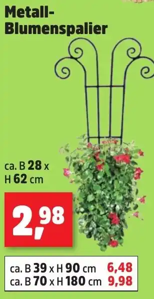 Thomas Philipps Metall- Blumenspalier Angebot