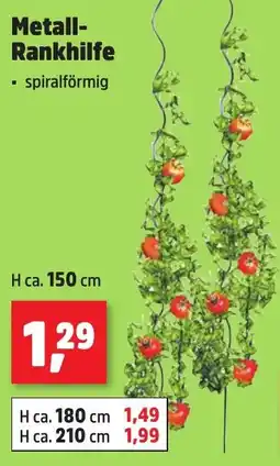 Thomas Philipps Metall- Rankhilfe Angebot