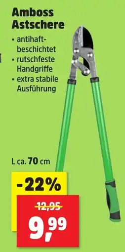 Thomas Philipps Amboss Astschere Angebot