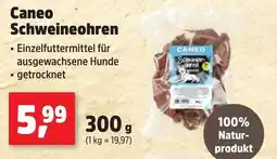 Thomas Philipps Caneo Schweineohren Angebot