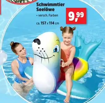 Thomas Philipps Schwimmtier Seelöwe Angebot