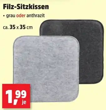 Thomas Philipps Filz-Sitzkissen Angebot