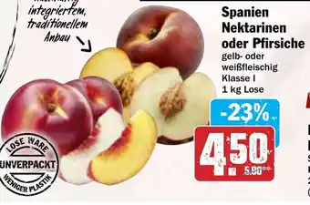 Hit Spanien Nektarinen oder Pfirsiche Angebot
