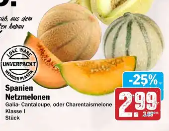 Hit Spanien Netzmelonen Angebot