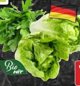 Hit Deutschland Bio HIT Mini Romasalat oder Bio HIT Rucola Angebot