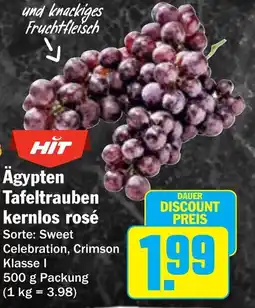Hit HIT Ägypten Tafeltrauben kernlos rosé Angebot
