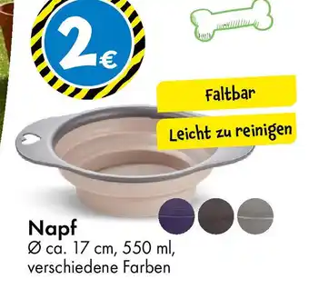 TEDi Napf Angebot