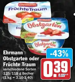 Hit Ehrmann Obstgarten oder Früchte Traum Angebot