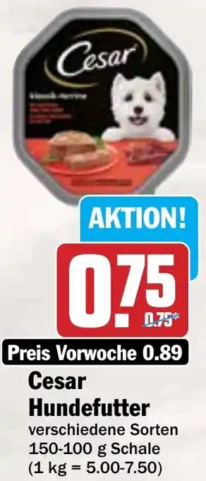 Hit Cesar Hundefutter Angebot